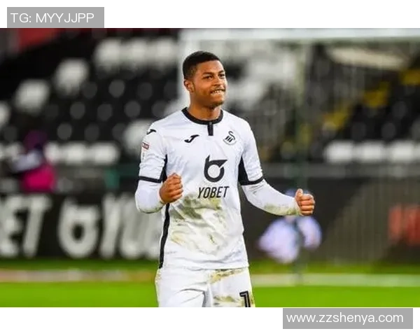 伯明翰对阵斯旺西精彩直播全程回顾与赛后分析 伯明翰对阵斯旺西精彩直播全程回顾与赛后分析